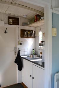 De PasPipowagen Lent的一个带水槽和柜台的小厨房