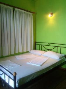 米洛帕莫斯Apartments in Mylopotamos的一间卧室设有两张带绿色墙壁的床。