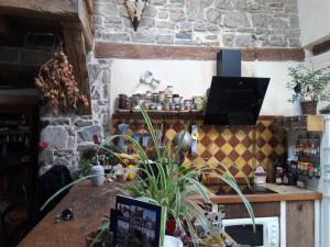 帕塞南Maison du Rostaing的厨房里摆放着植物的桌子