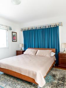 奥拉涅斯塔德Kamerlingh Villa的一间卧室配有一张蓝色窗帘的床