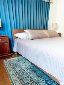 奥拉涅斯塔德Kamerlingh Villa的一间卧室配有床和蓝色窗帘