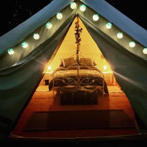 肯尼迪山新镇Garden County Glamping的一个带床的卧室,位于带灯的帐篷内