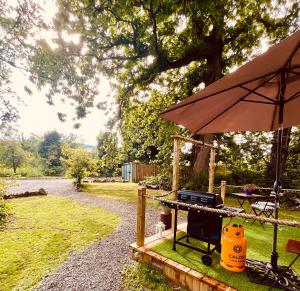 肯尼迪山新镇Garden County Glamping的一张带雨伞和烧烤架的野餐桌