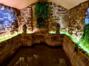 Vall de Bianya马斯普拉特乡村Spa酒店的一间设有绿灯的游泳池的客房