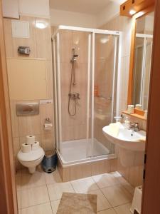 布克福尔多Daniella Apartman的带淋浴、卫生间和盥洗盆的浴室