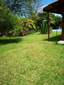 BEAUTIFUL HOUSE IN LAS UVAS SAN CARLOS, PANAMA WITH FRUIT TREES -SWIMMING POOL外面的花园