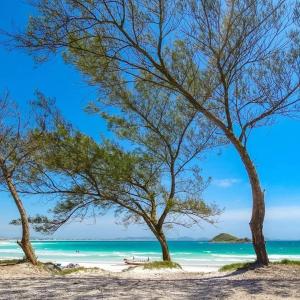 阿拉亚尔-杜卡布Arraial do Cabo – Subuai Village - Aluguel Econômico的两棵树和大海的海滩