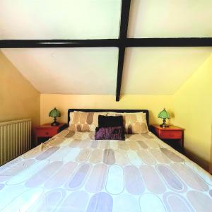 朗塞斯顿Ta Mill Cottages & Lodges - Pump Cottage的一间卧室配有一张带2个床头柜的大床