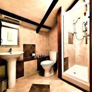 朗塞斯顿Ta Mill Cottages & Lodges - Pump Cottage的浴室配有卫生间、盥洗盆和淋浴。