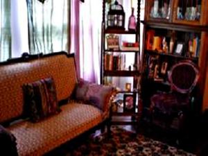 AbbevilleDucote-Williams House的带沙发和书架的客厅