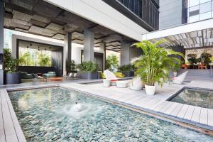 新加坡新加坡 Studio M 酒店的植物群中的一个游泳池