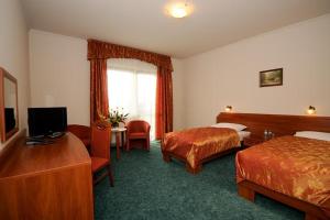 Hoczew蝾螈酒店的酒店客房设有两张床和电视。