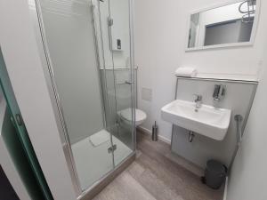 拉姆斯泰因-米森巴赫Hotel FeWo-HM的带淋浴、盥洗盆和卫生间的浴室