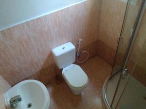 亚的斯亚贝巴Wib Guesthouse的浴室配有卫生间、淋浴和盥洗盆。