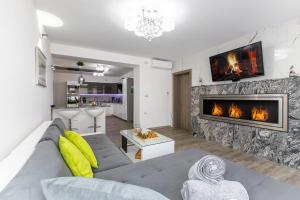 克拉尼斯卡戈拉Reset Apartments的带沙发和壁炉的客厅