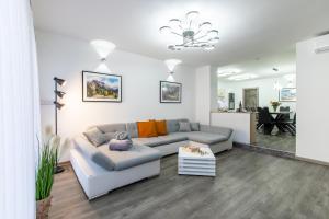 克拉尼斯卡戈拉Reset Apartments的客厅配有沙发和桌子