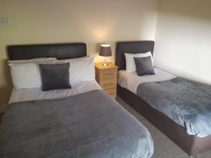DonaghmoreDelphi Lodge的一间卧室配有两张床和一个带灯的床头柜