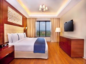 科钦科钦假日酒店的酒店客房设有一张大床和一台电视机。