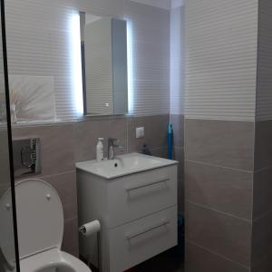 弗洛雷什蒂NEW Aparthotel Floresti的一间带卫生间、水槽和镜子的浴室
