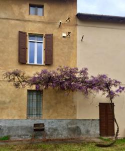 克雷莫纳Appartamento in Cascina Cortazza的一座有窗户的建筑和一棵紫色花的树