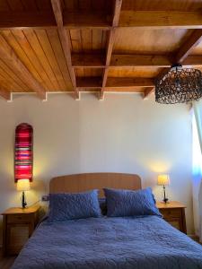 圣佩德罗·德·阿塔卡马Sami Atacama的一间卧室配有一张带蓝色床单和红色灯的床。