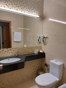 阿吉亚尔小镇阿吉亚尔佩纳酒店的浴室配有卫生间、盥洗盆和浴缸。