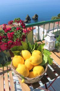 维耶特里Casa Colombo的阳台上的桌子上放着一篮柠檬