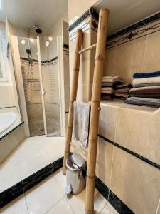 CrémieuChez Amélie的设有带步入式淋浴间和盥洗盆的浴室