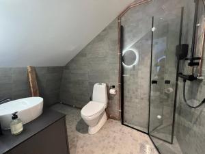 TorskenTorsken Brygge的一间带卫生间和玻璃淋浴间的浴室