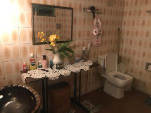 戈亚斯hospedagem quarto casa da wal的一间带水槽和卫生间的浴室