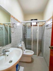 邦劳KASSFFER APARTMENT的浴室配有卫生间、盥洗盆和淋浴。
