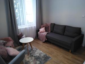 萨诺克Apartament JOANNA的客厅配有沙发和桌子