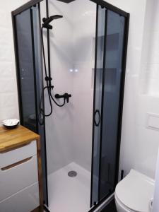 萨诺克Apartament JOANNA的设有带卫生间的浴室内的淋浴间