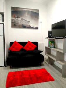 纳扎雷Sol e praia的客厅配有黑色沙发和红色地毯。