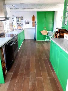 TranekærBeachhouse Langeland的铺有木地板的厨房配有绿色橱柜