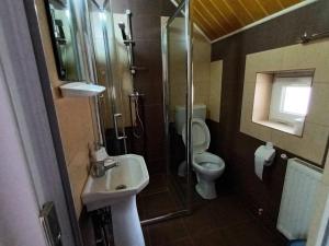 塔玛塞尔Pension Calborean的浴室配有卫生间、盥洗盆和淋浴。