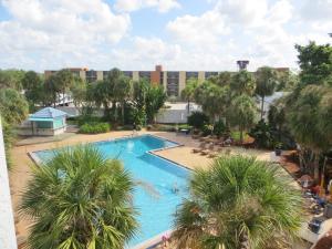 奥兰多电影世界酒店的享有棕榈树游泳池的顶部景致