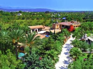 帕尔马海滩波萨达迪厄斯莫里酒店的棕榈树房屋的空中景致