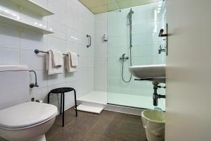 阿斯科纳卢纳加尔尼酒店的带淋浴、卫生间和盥洗盆的浴室