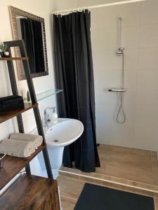 弗利辛恩Studioverhuur Vlissingen的浴室配有白色水槽和淋浴。