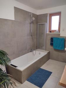 MainleusFerienwohnung Maintalblick的带浴缸和淋浴的浴室