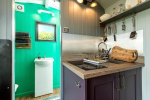 KidwellyThe Big Cwtch Shepherd's Hut的厨房配有水槽和台面