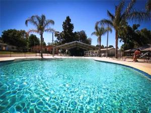 天鹅山大4滨江天鹅山假日公园的棕榈树环绕的蓝色海水游泳池