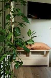 斯塔普霍斯特Bed and Breakfast het Groentje的一张沙发和一台电视机的房间内的植物