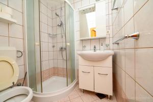 马丁斯契卡Apartmani Noris (app3)的浴室配有卫生间、盥洗盆和淋浴。
