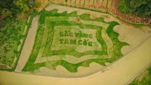 宁平Khai Yen Tam Coc Hostel的一个大草迷宫,上面写着时间可
