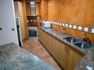 利亚沃尔西Apartment in Llavorsi in the heart of the Catalan Pyrenees的厨房配有水槽和台面