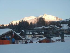 梅杰夫Chalet Monte-Pente的一座滑雪胜地,其背景是积雪覆盖的群山