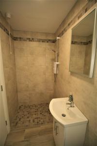 TullyallenThe Shepherd's Lodge的浴室配有盥洗盆和带镜子的淋浴