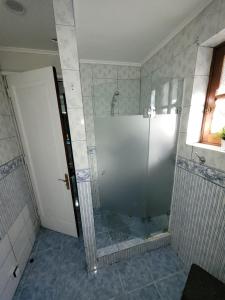 圣地亚哥Los Araucanos的浴室里设有玻璃门淋浴
